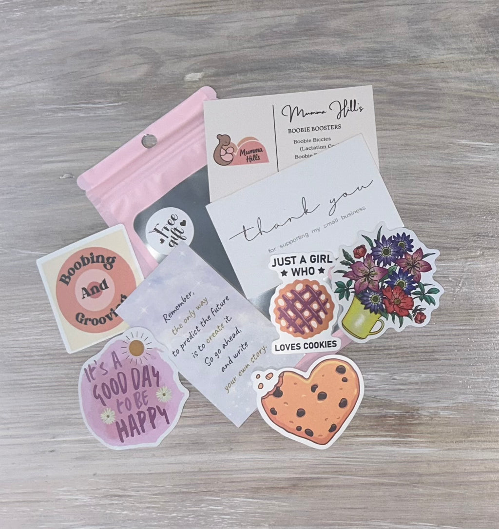 Boobie Biccies - Lamington